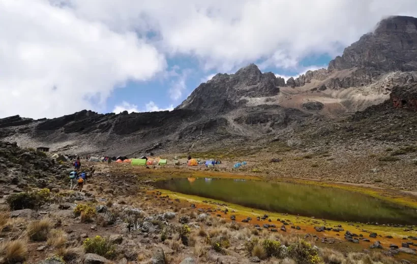 8 Days Machame route Kilimanjaro trekking