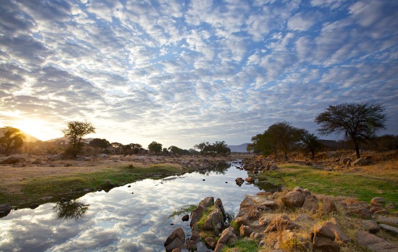 Two Days, One Night Ruaha Safari