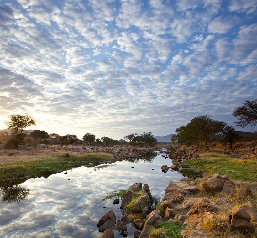 the great ruaha
