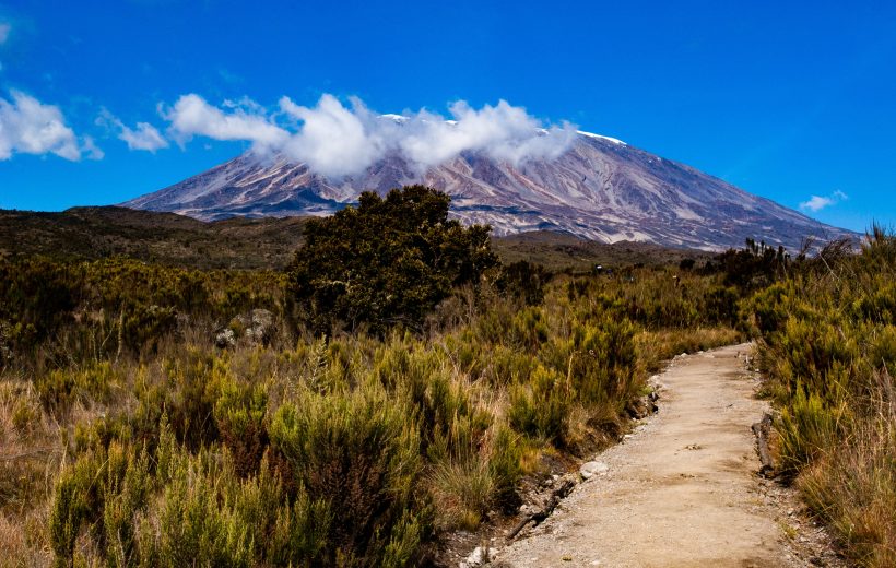 5days Marangu route Kilimanjaro Trekking