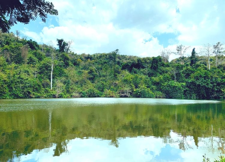 Pugu_Hill_Nature_Forest_with_Lake_Minaki_2_750_550shar-50brig-20_c1