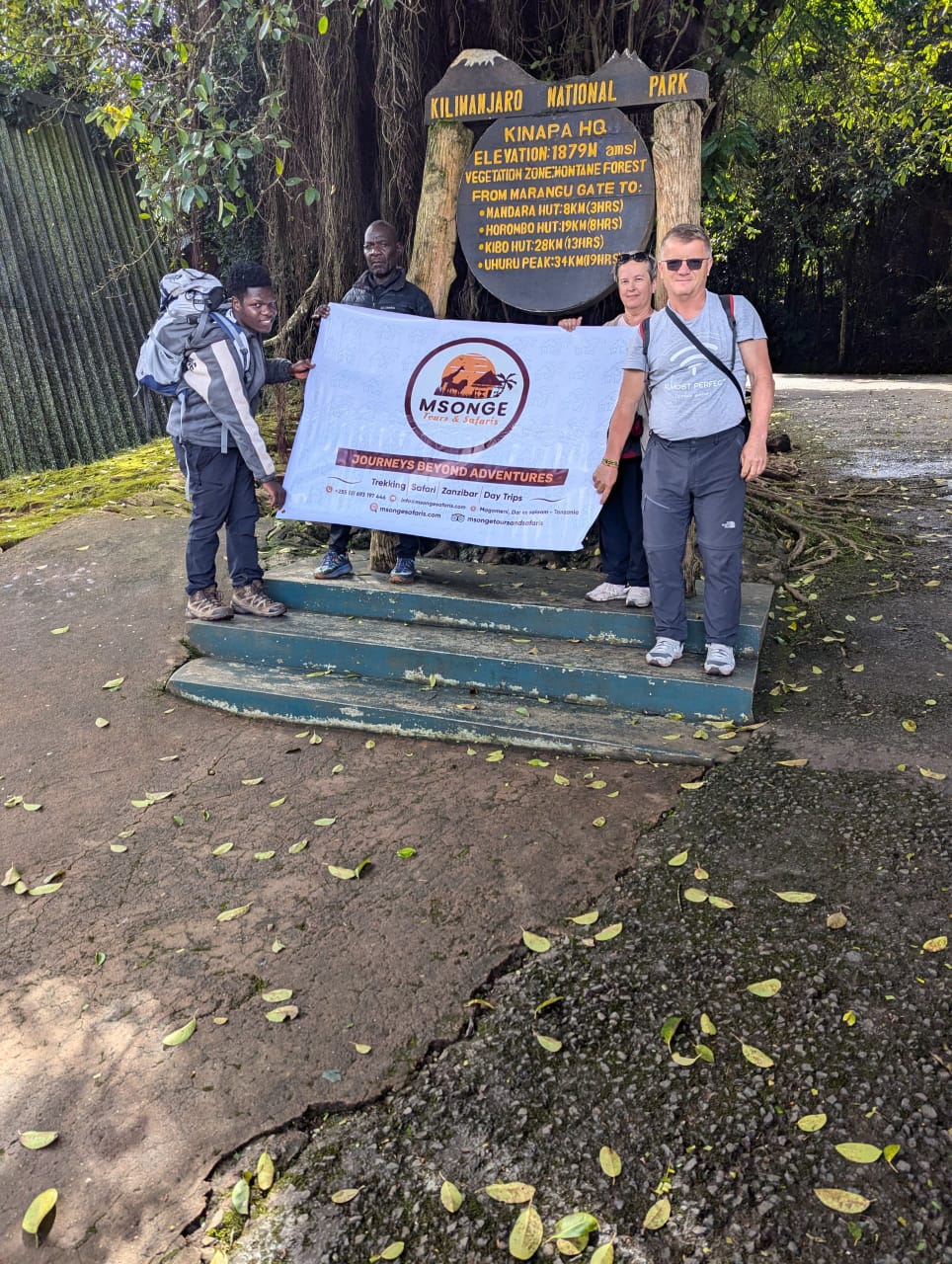 Msonge Safaris - Tanzania Safari Experience