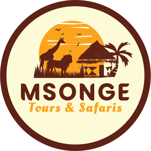 Msonge Tours and Safaris